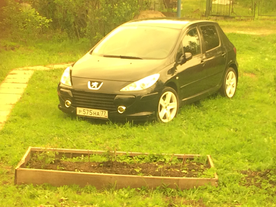 Лето, дача и Пежо ) — Peugeot 307, 2 л, 2006 года | фотография | DRIVE2