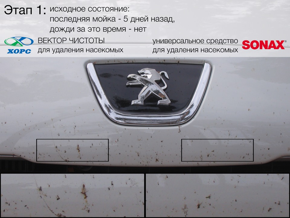 Этап 1: ХОРС и Sonax — Peugeot 308 (1G)