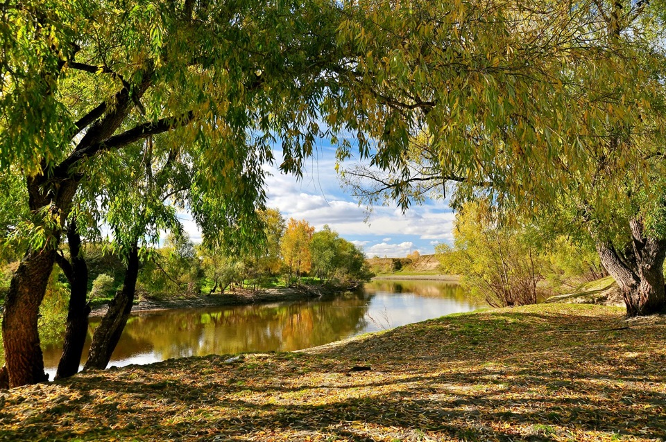 Фото Возле Реки Осенью