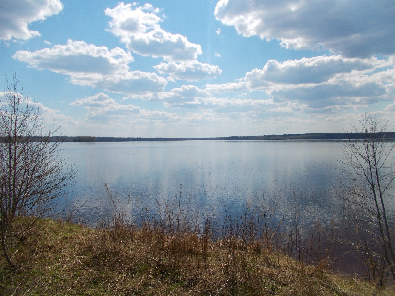 озеро боровно новгородская область