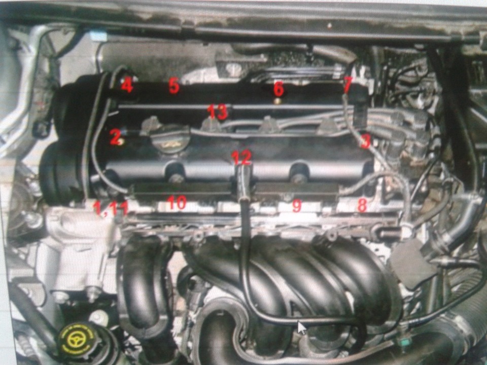 Прокладка клапанной крышки — Ford Focus Sedan II, 1,6 л, 2005 года ...