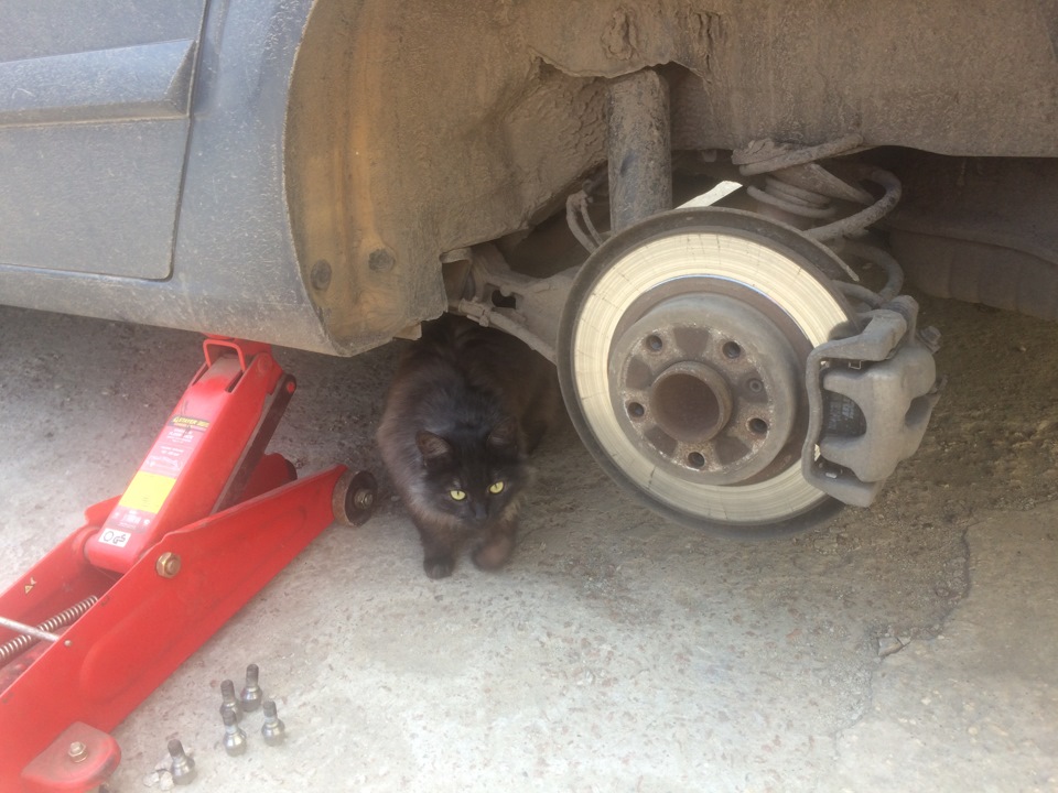 Главная помощница. — Opel Astra H