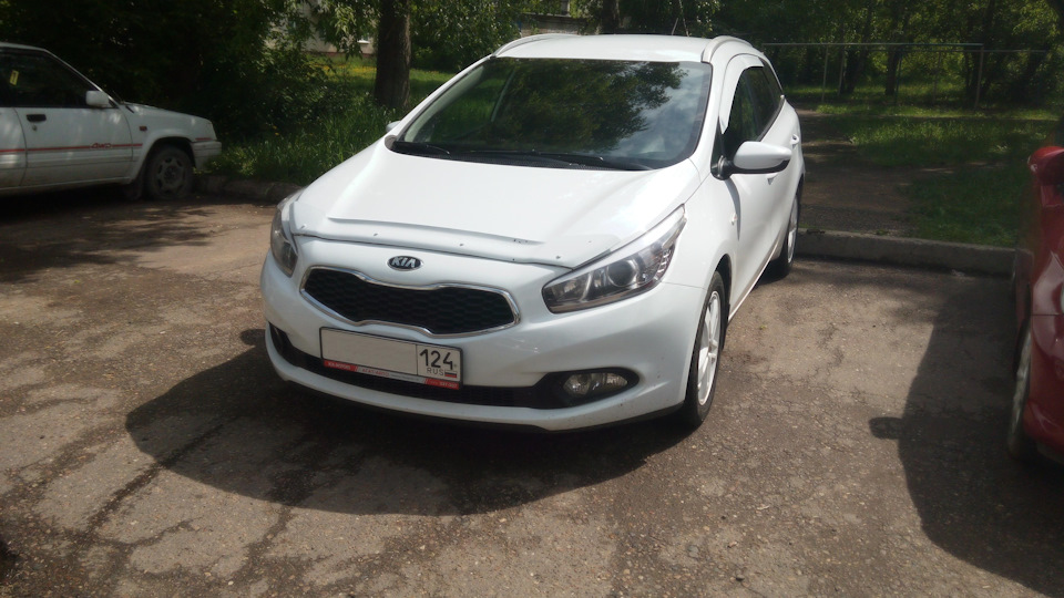KIA Ceed SW 🇰🇷 Белочка 🐿️