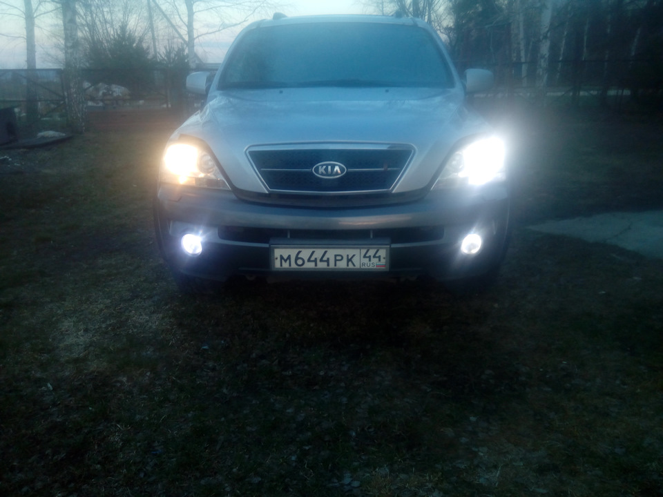 В левой фаре галогенка в правой диод — KIA Sorento (1G)