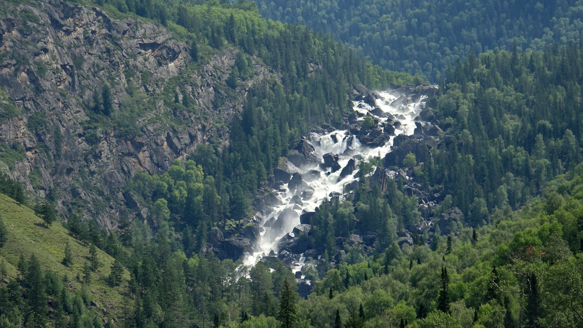 Кордон беле