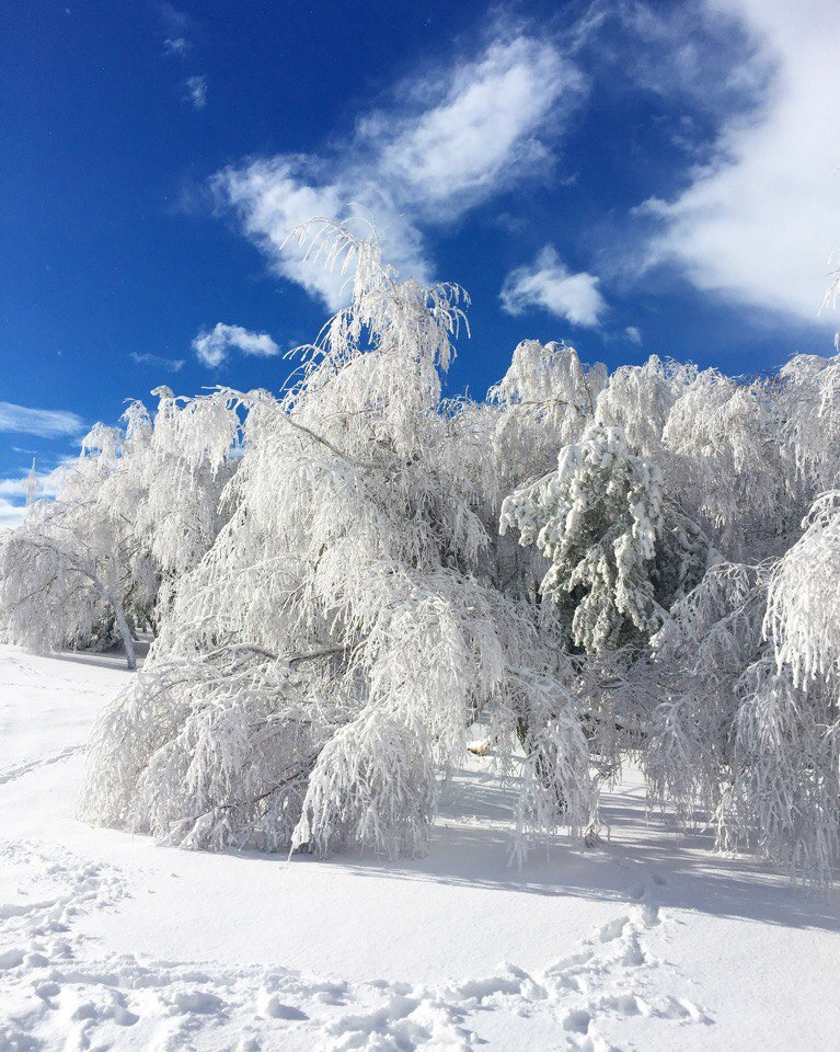 Снег на ай петри. Ай Петри зимой. Снежной глуби. Ай Петри зимой фото. Сколько снега сейчас на ай-Петри.