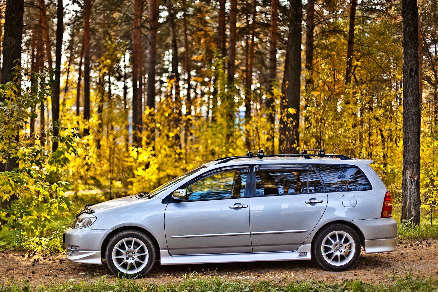 Каталог тойота филдер. Toyota Corolla Fielder 2003. Тойота Королла Филдер 2003. Золотистый Тойота Филдер. Хонда Филдер.