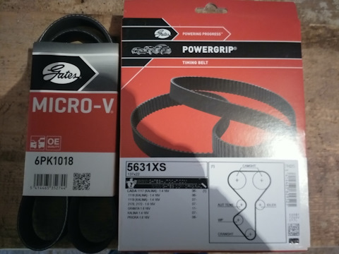 5631XS Ремень ГРМ GATES | Запчасти на DRIVE2