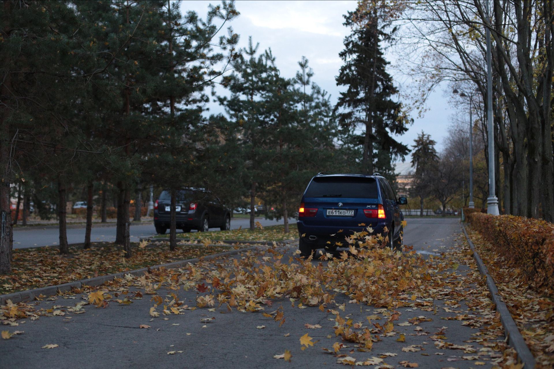 Бумер в каком городе