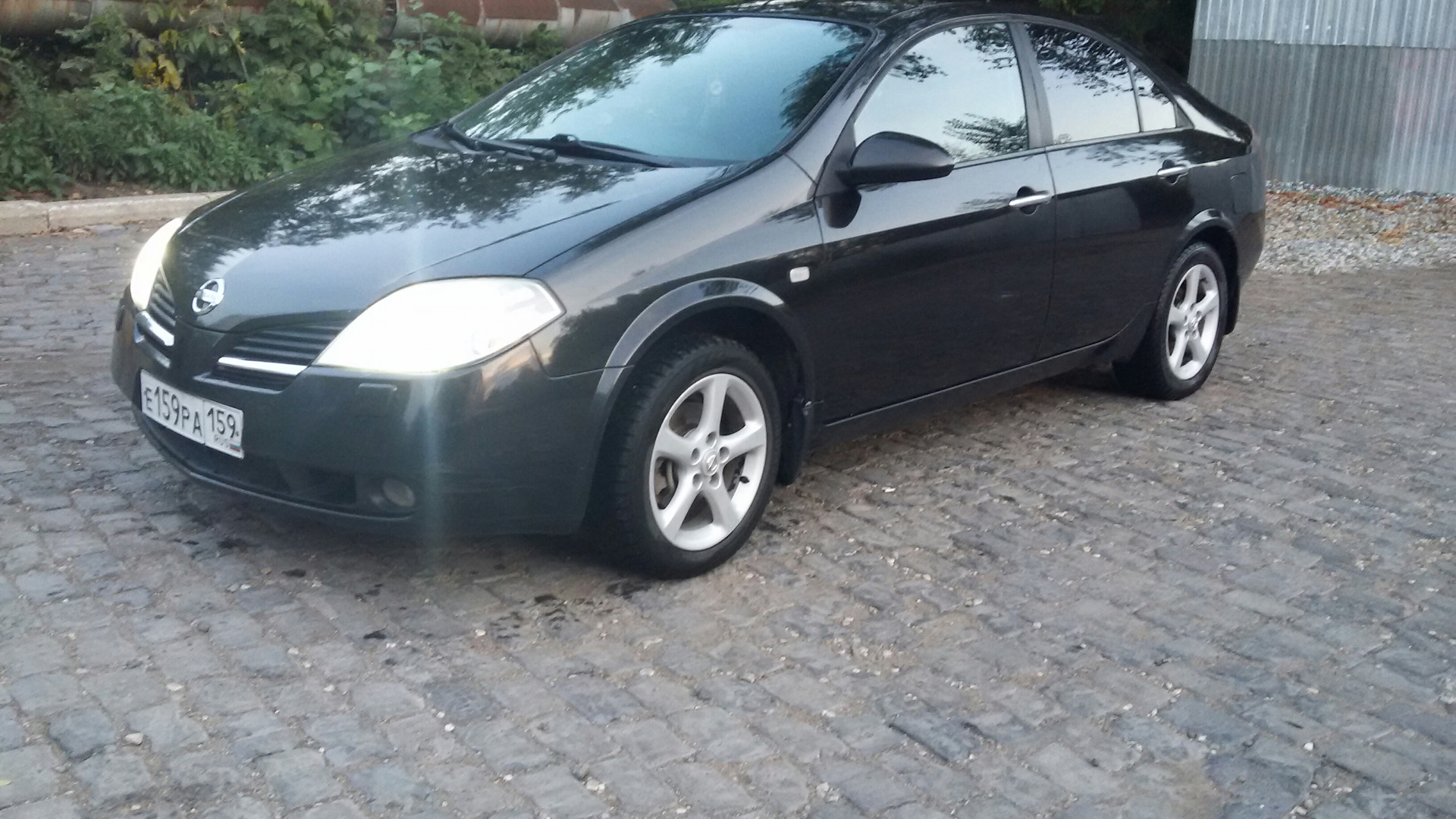 2007г. Nissan Primera III (P12) 1.6л. купить с пробегом в г.Минск - 11642900