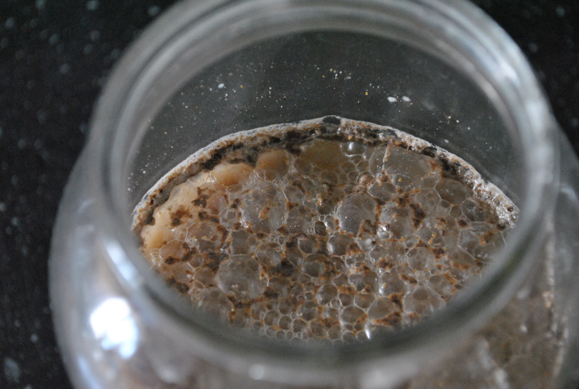 Пшеничная брага на кодзи. Ячневая брага на кодзи. Кукурузная брага кодзи плесень. Пшеница на кодзи. Зерновая брага на кодзи ангел.