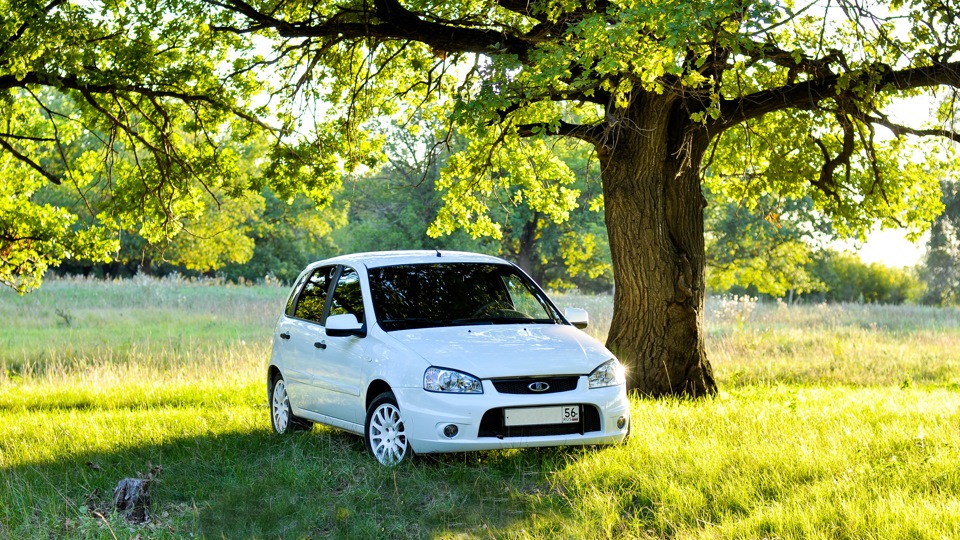 Качество лад. Лада Калина спорт. Калина спорт драйв. Lada Kalina AMG. Зеленая Калина спорт 1.