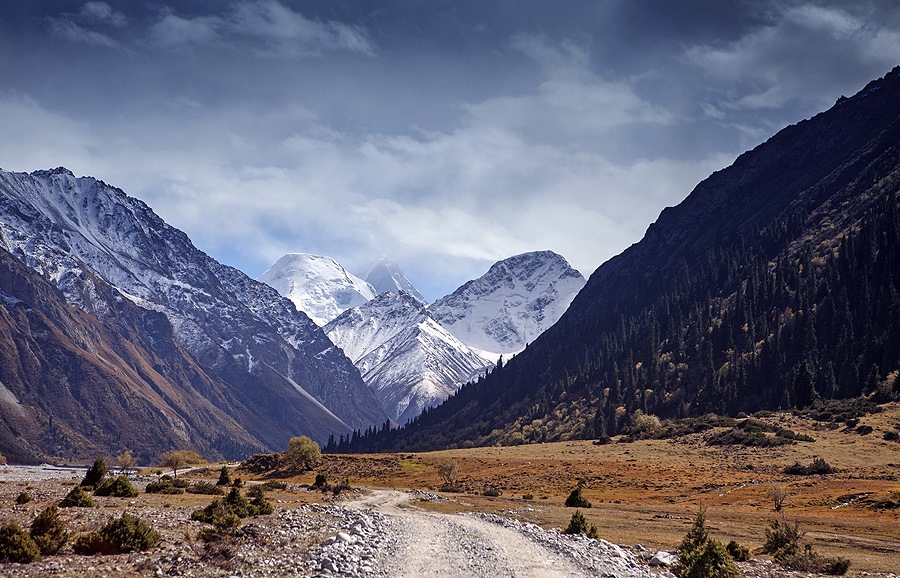 Фото в бортжурнале Infiniti QX70