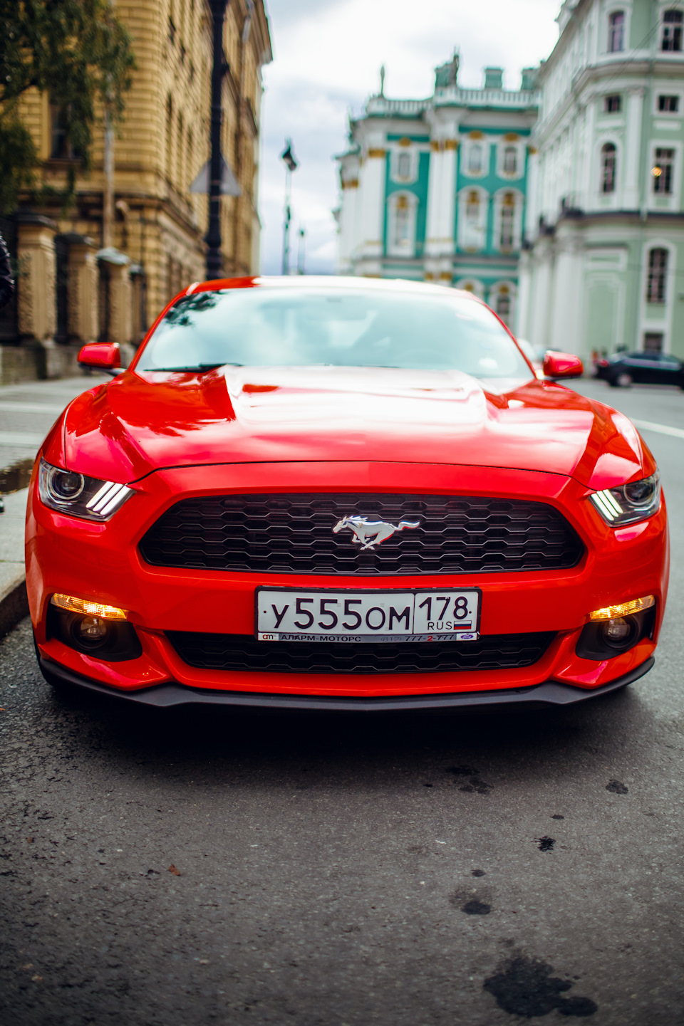 Ford Mustang 555