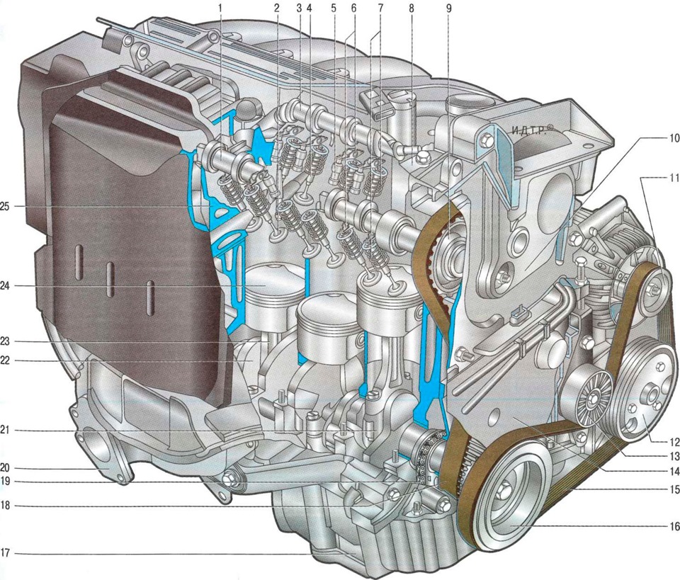 Фото в бортжурнале Renault Scenic II