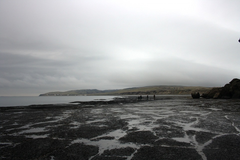 Фото в бортжурнале Nissan Safari (Y60)