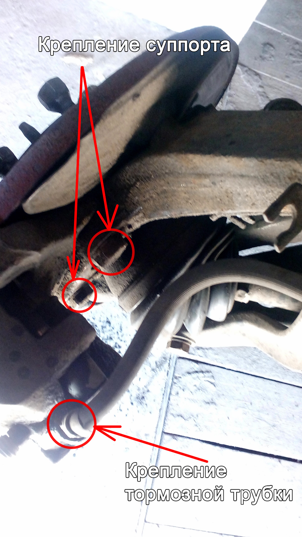 Фото в бортжурнале Alfa Romeo 156