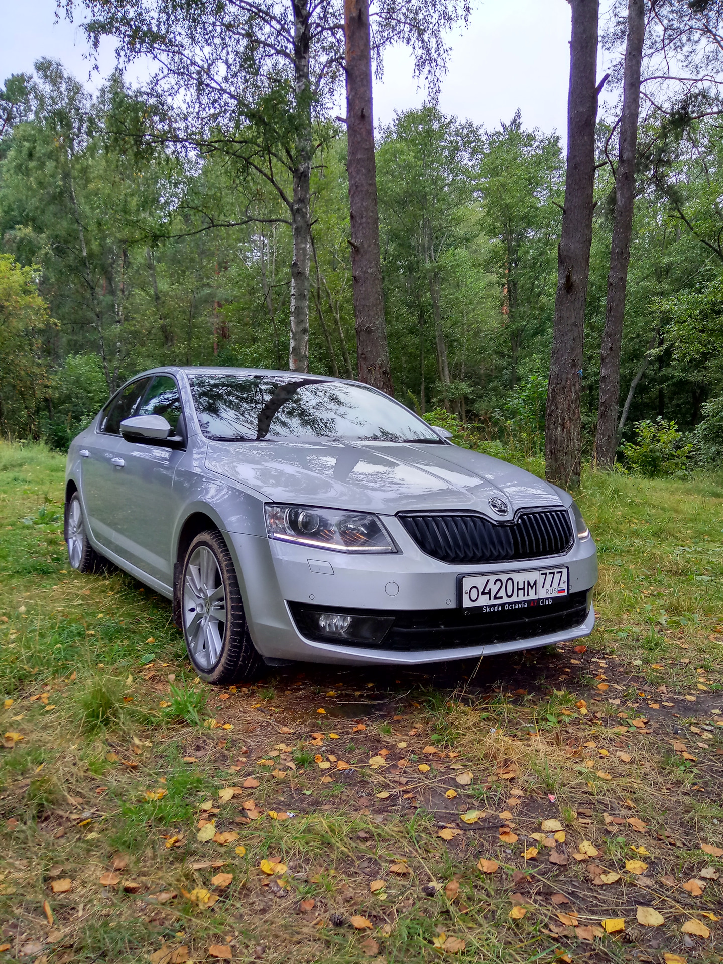 Skoda octavia 1.6 автомат. Skoda Octavia 2021. Skoda Octavia a8 серебристый.