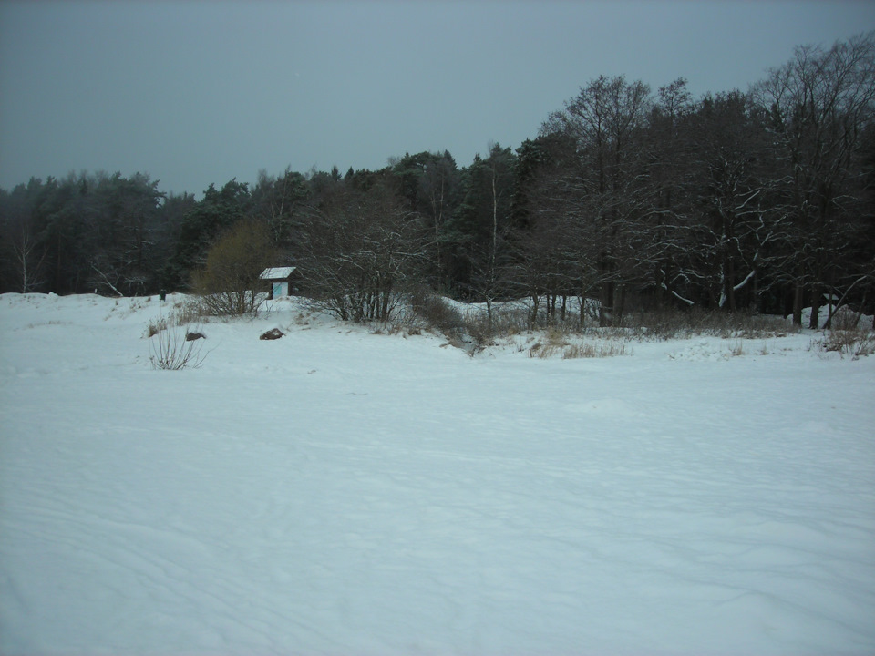 Фото в бортжурнале Renault Sandero 2G