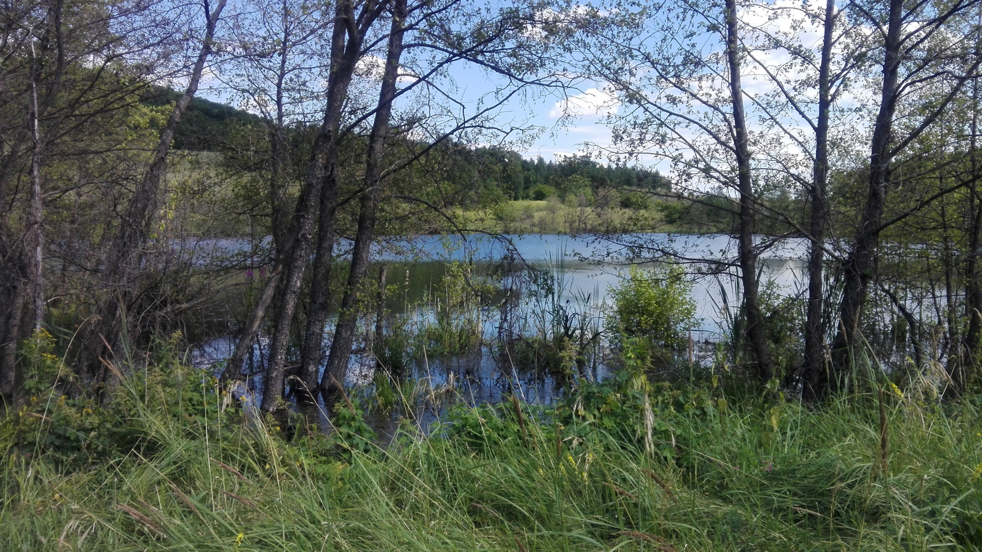 Погода в новобурасском районе село. Новобурасский район красивые места. Село Тёпловка Новобурасский район. Ириновка Саратовская область Новобурасский район. Село Михайловка Новобурасский район.