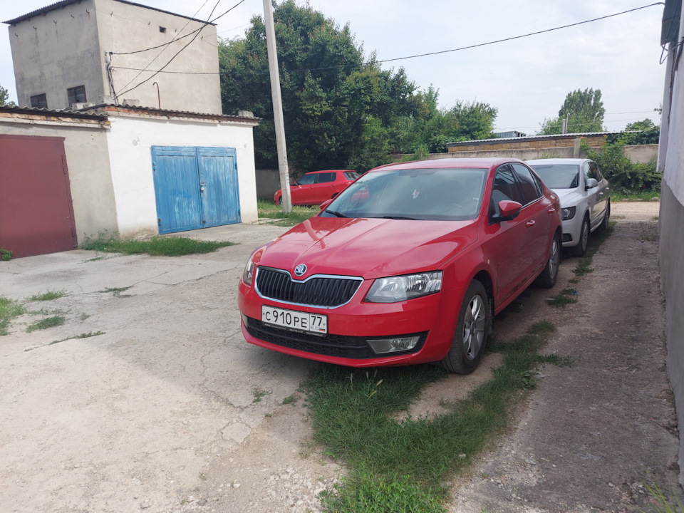 Фото в бортжурнале Skoda Octavia A7 Mk3