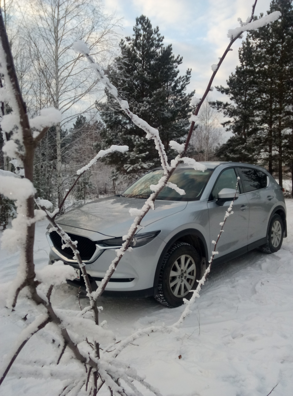 Зарядка аккумулятора, прошу совета — Mazda CX-5 (2G), 2 л, 2019 года |  своими руками | DRIVE2