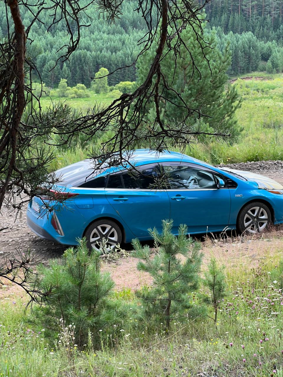 Перегон автомобиля из Владивостока в Самару 8400 км. 2 часть — Toyota Prius  Plug-in Hybrid (2G), 1,8 л, 2017 года | путешествие | DRIVE2