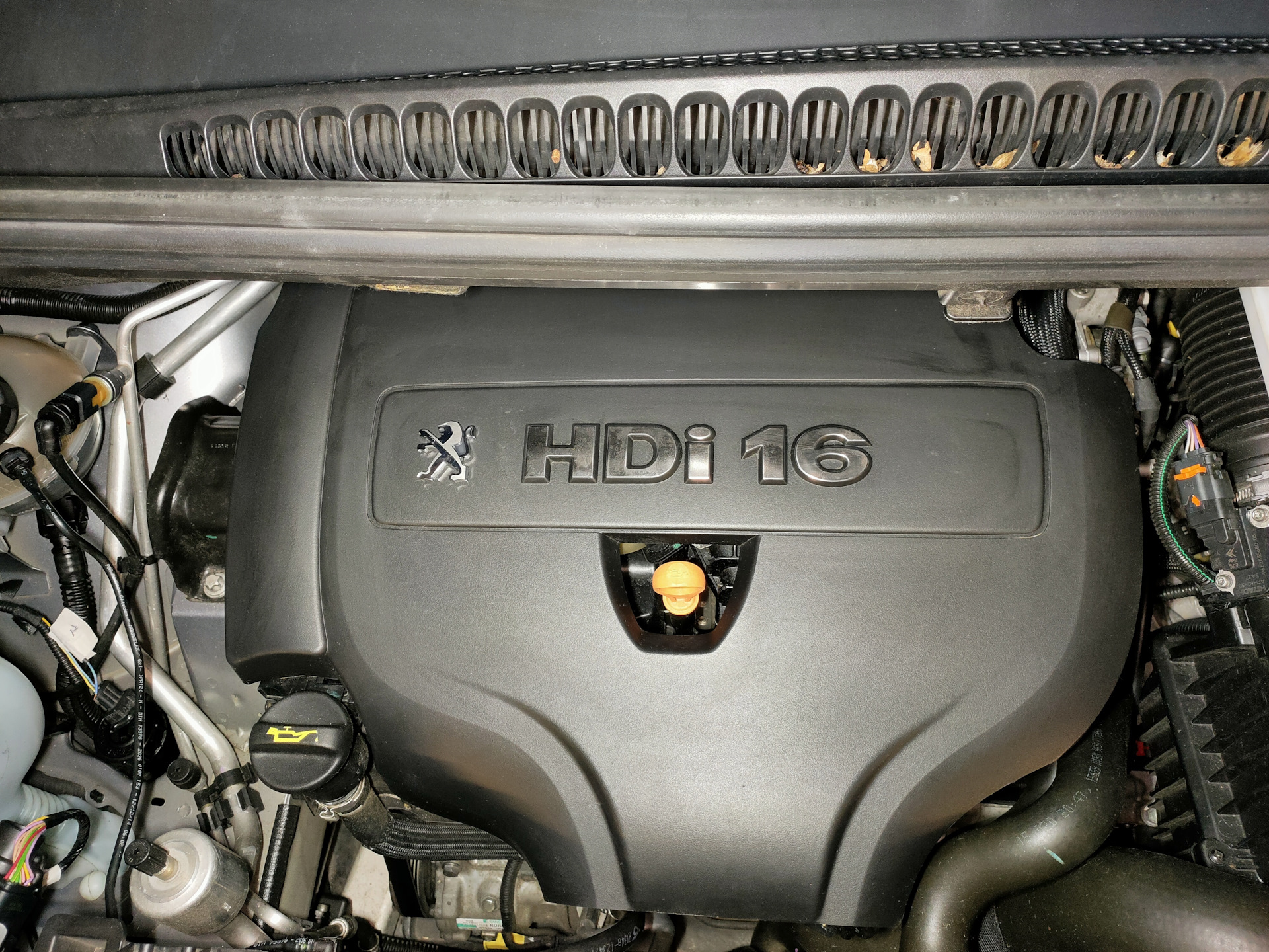 Украшение крышки двигателя. — Peugeot 5008 (1G), 2 л, 2015 года ...