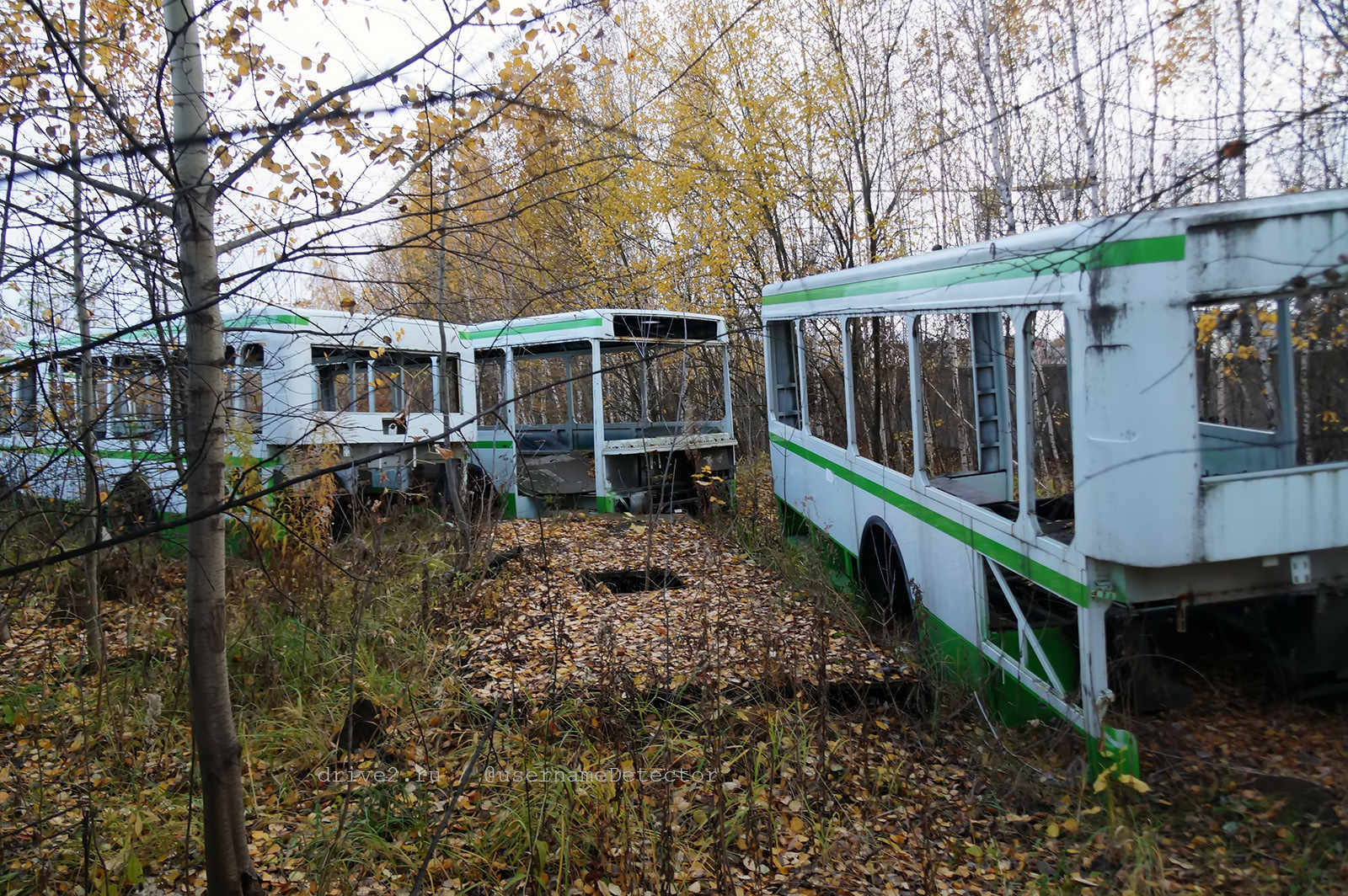 Общественный транспорт рязань бус. Рязанский Автобусный завод. Рязанский Автобусный завод автобусы. Автобус Рязань Дубовичье. Заброшенные кузова МОСКОВИТ 6222 под Рязанью.