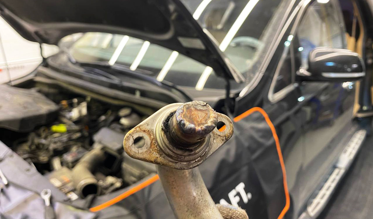 Отключение клапана EGR и мочевины AdBlue на Kia Carnival 2.2 CRDi (199 ...