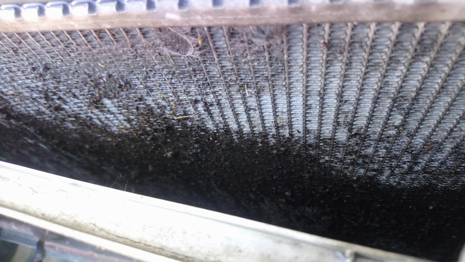 Замена пыльников нижних шаровых. Не совсем удачная. — SsangYong Kyron ...