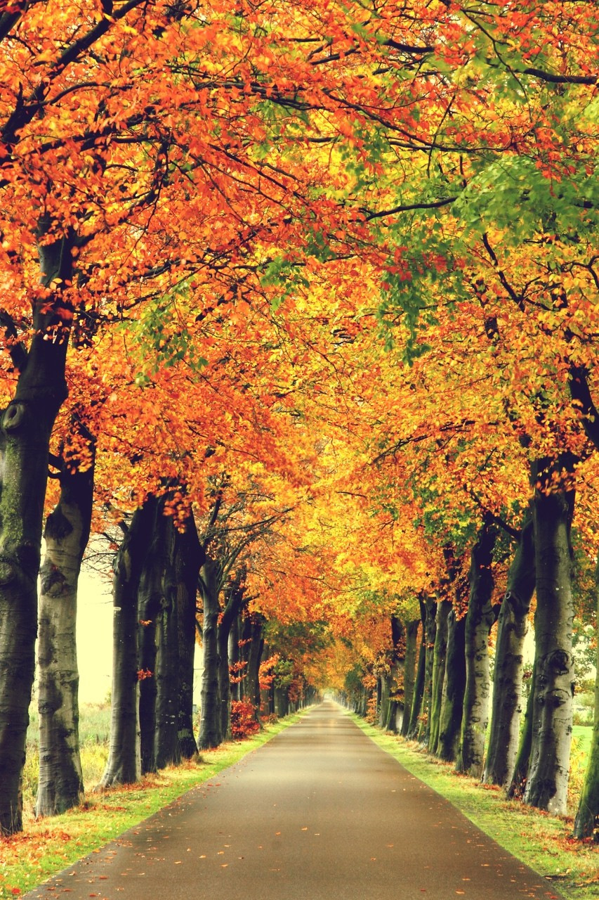 Мужчины тоже жужжат. — Сообщество «Мальчики и Девочки» на DRIVE2