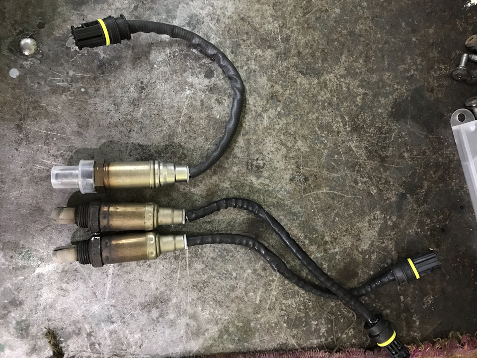 Фото в бортжурнале BMW 5 series (E39)