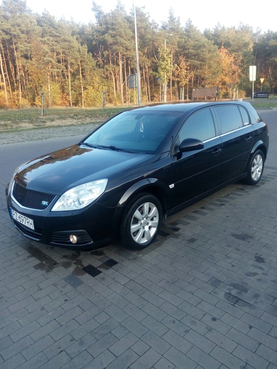 Мигающая лампочка свечей накала — Opel Signum, 3 л, 2006 года | электроника  | DRIVE2