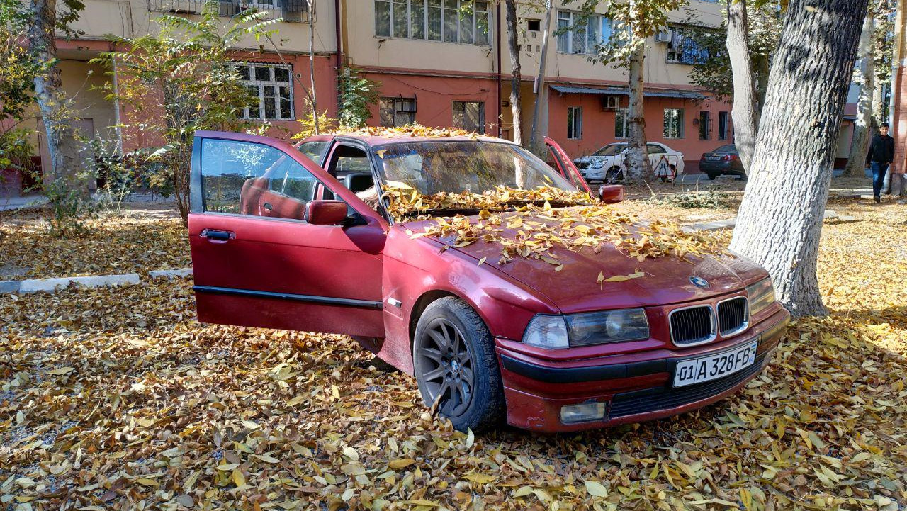 BMW 3 series (E36) 2.0 бензиновый 1993 | Где мой VIN? на DRIVE2