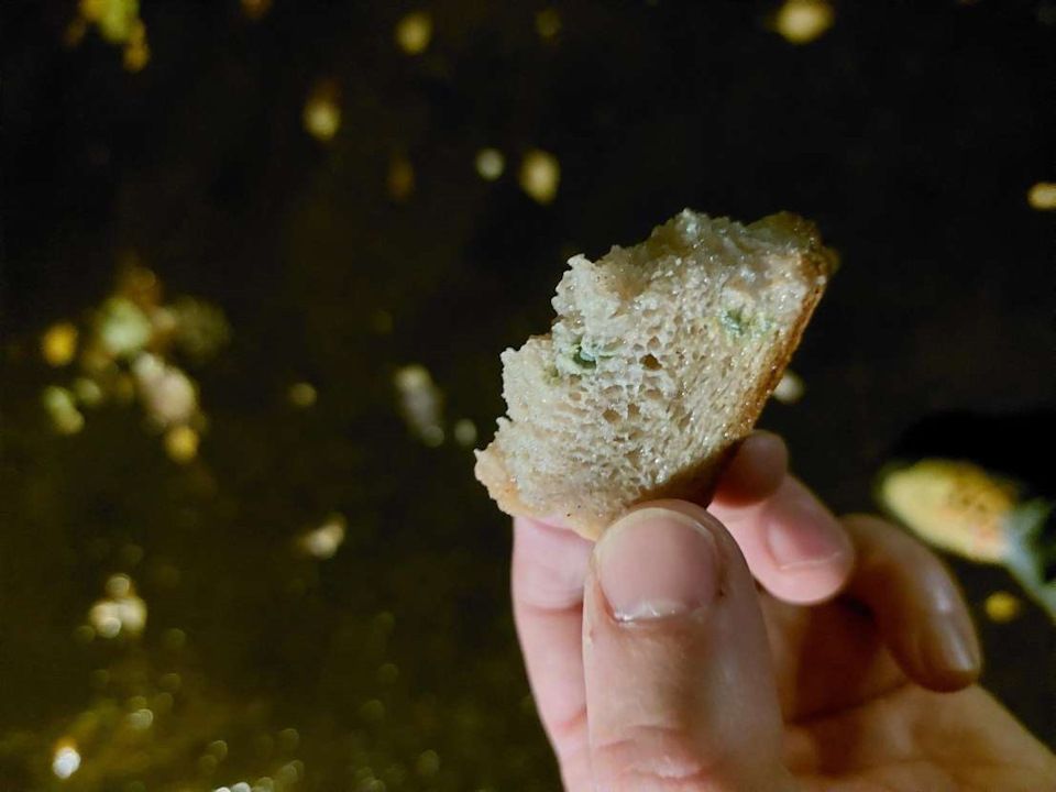 Новый аккумулятор и крысы под капотом — Opel Antara, 2,2 л, 2014 года ...