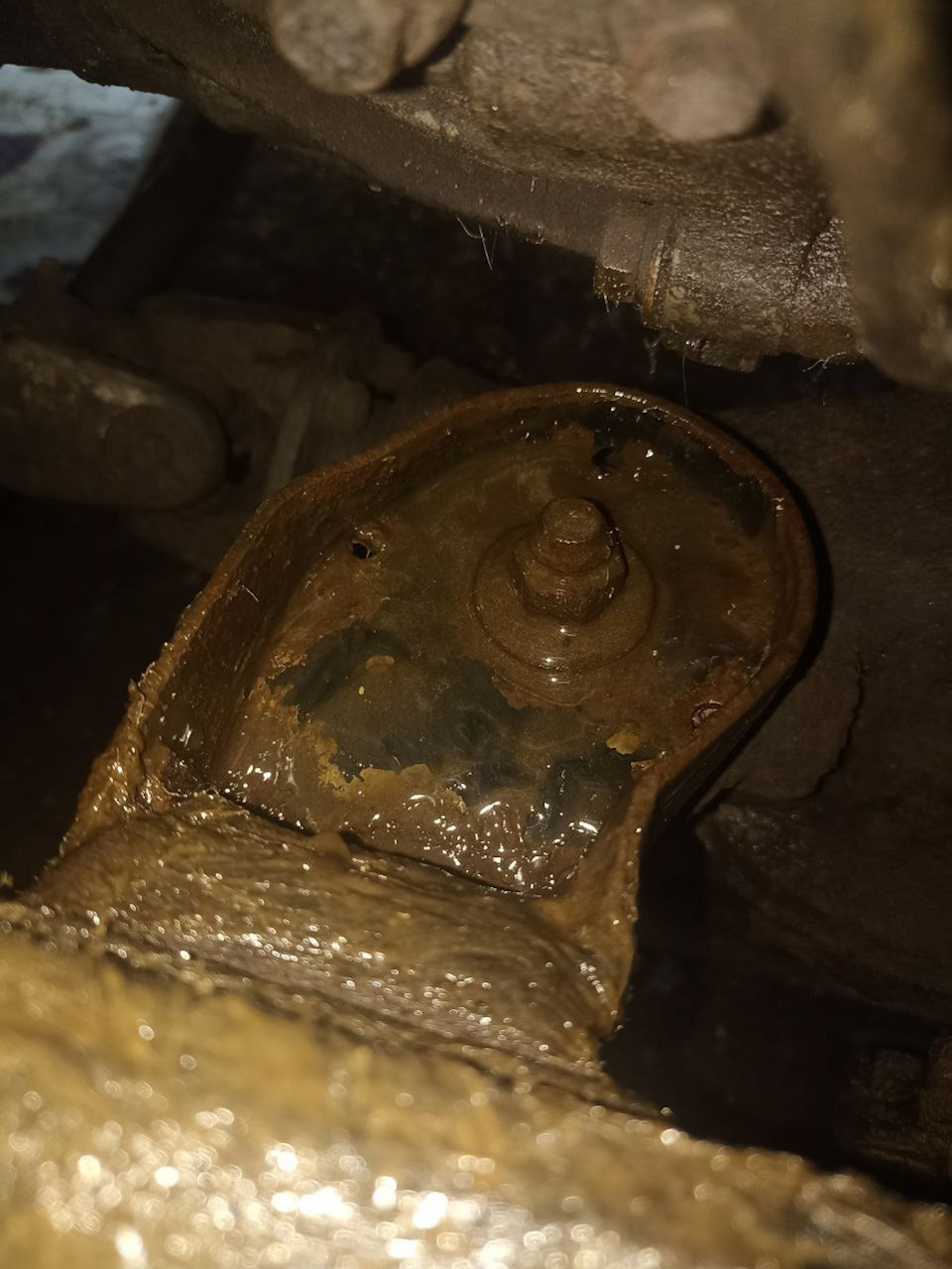 Досталось сальца и ему, раз под руку попался — Toyota 4Runner (2G)