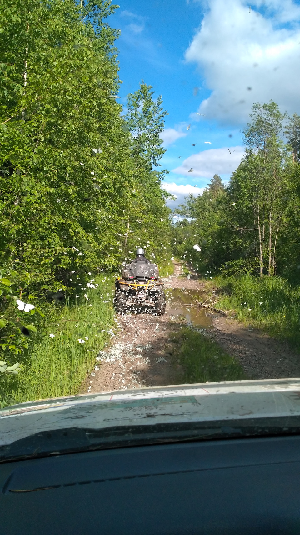 Фото в бортжурнале Suzuki Escudo (1G)