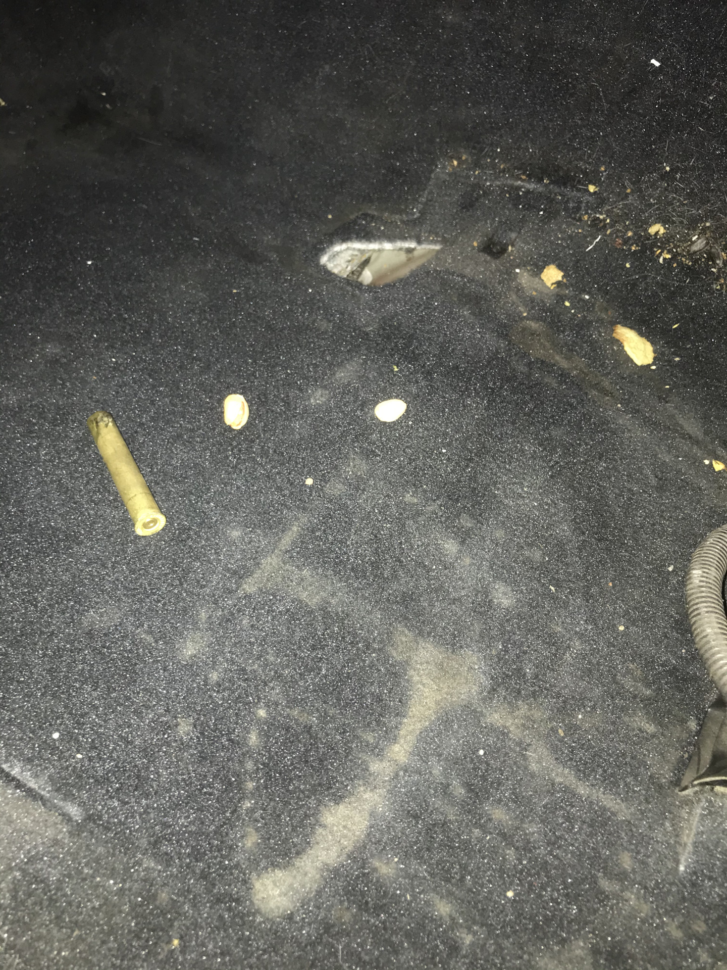 Ручная химчистка — Lexus IS II, 2,5 л, 2007 года | своими руками | DRIVE2