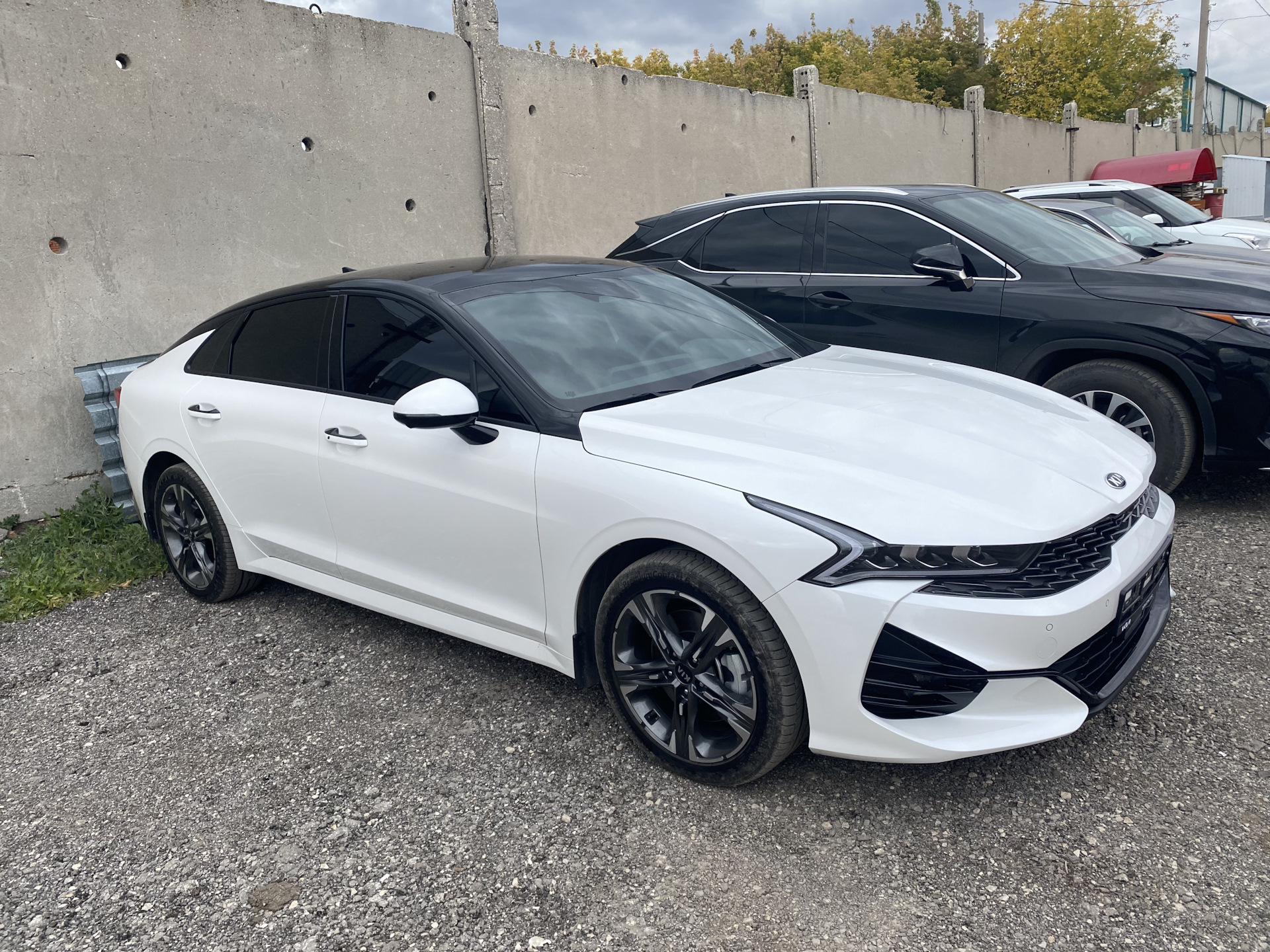 Начало — KIA K5 (3G), 2,5 л, 2021 года | покупка машины | DRIVE2