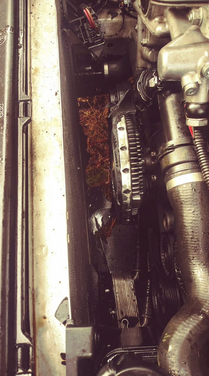 Бабах — BMW 3 series (E46)