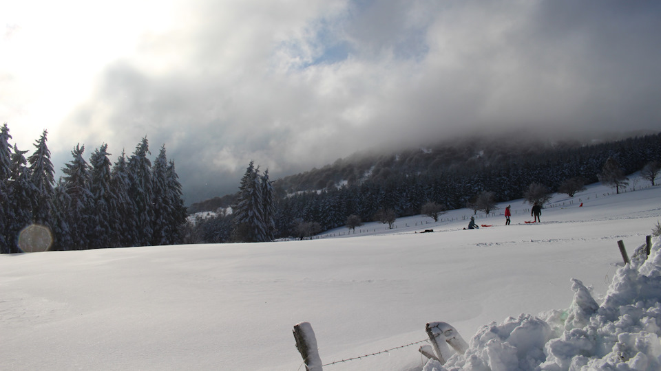 Вот такие осенние каникулы у детей. — Audi A4 (B9)