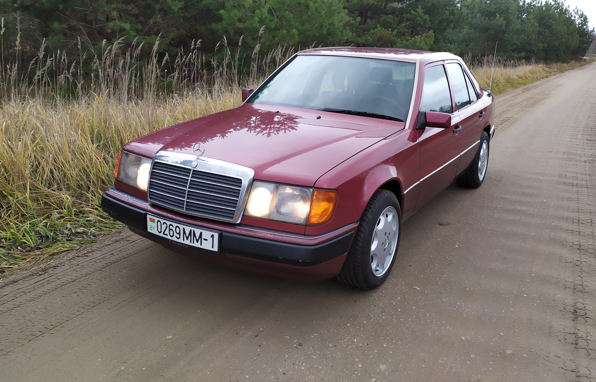 Ромашки R16 8J ET36 и фото на память — Mercedes-Benz E-class (W124), 3 л,  1993 года | наблюдение | DRIVE2