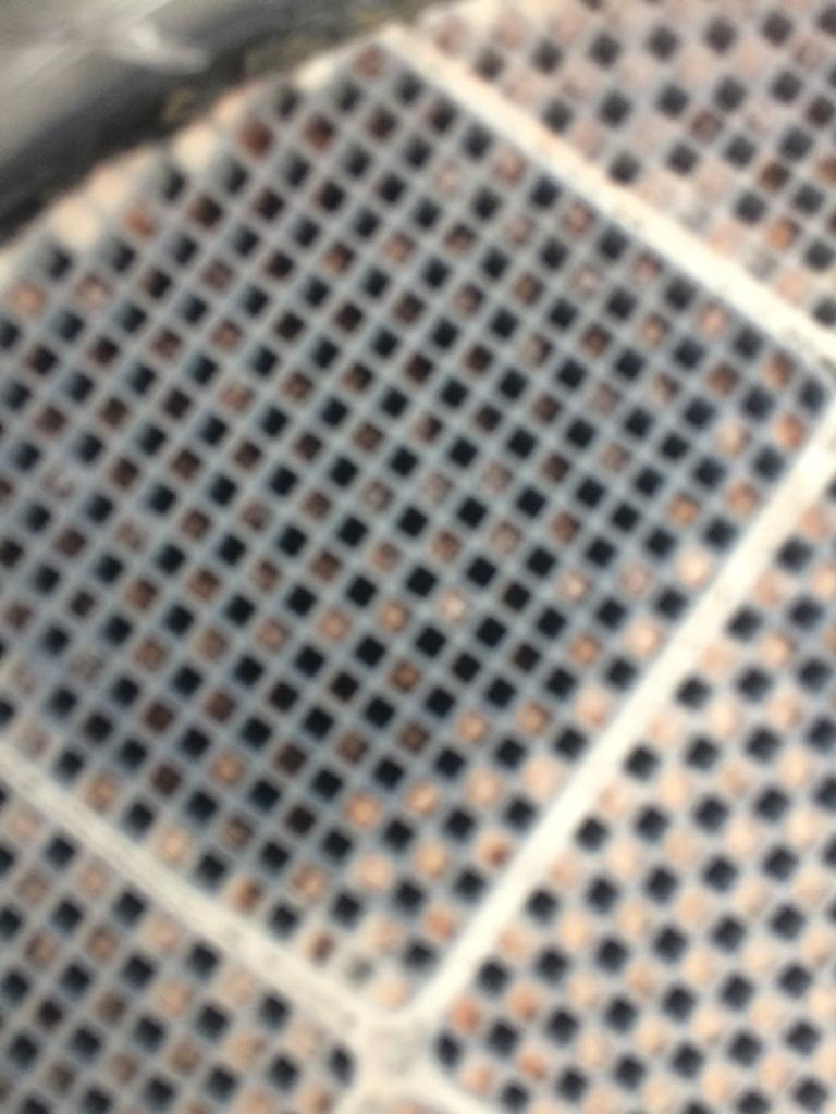 Удаление сажевого фильтра без прошивки — DRIVE2