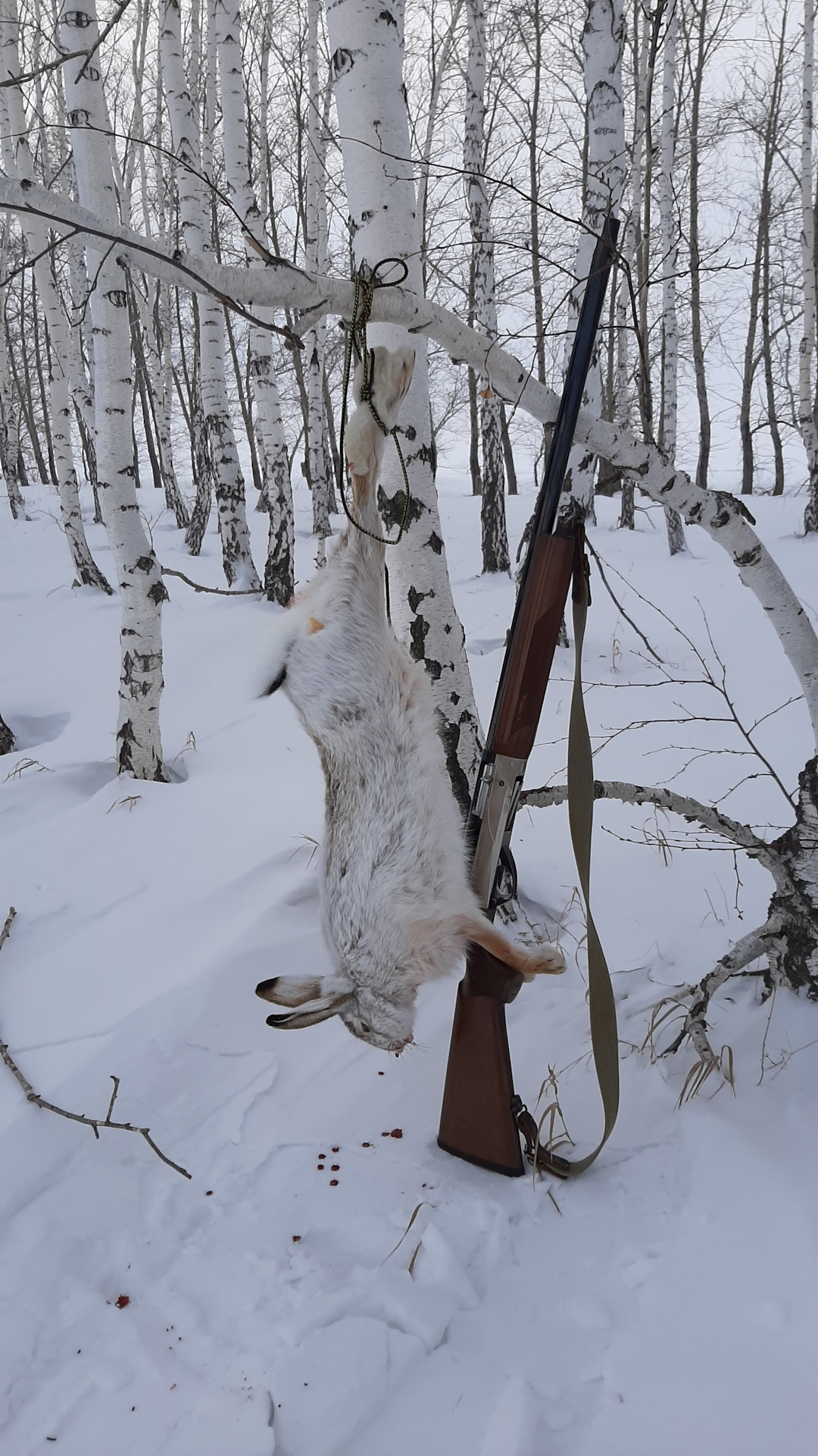 Счет 3:0 и все прелести сибирской погоды в один день — Сообщество ...