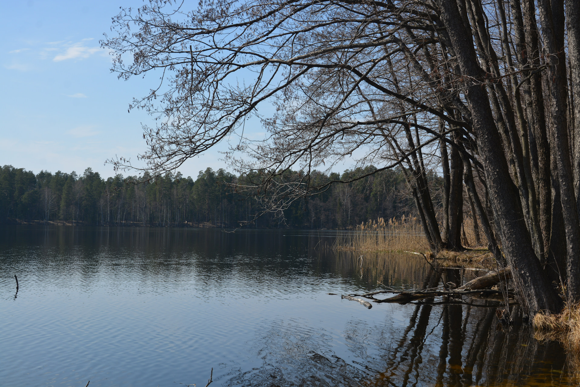 Национальный парк Марий Чодра озера