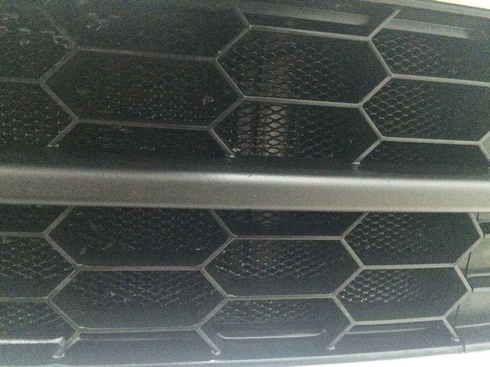 Установил Блэк пакет и защитную сетку радиатора — Skoda Octavia A7 Mk3 ...