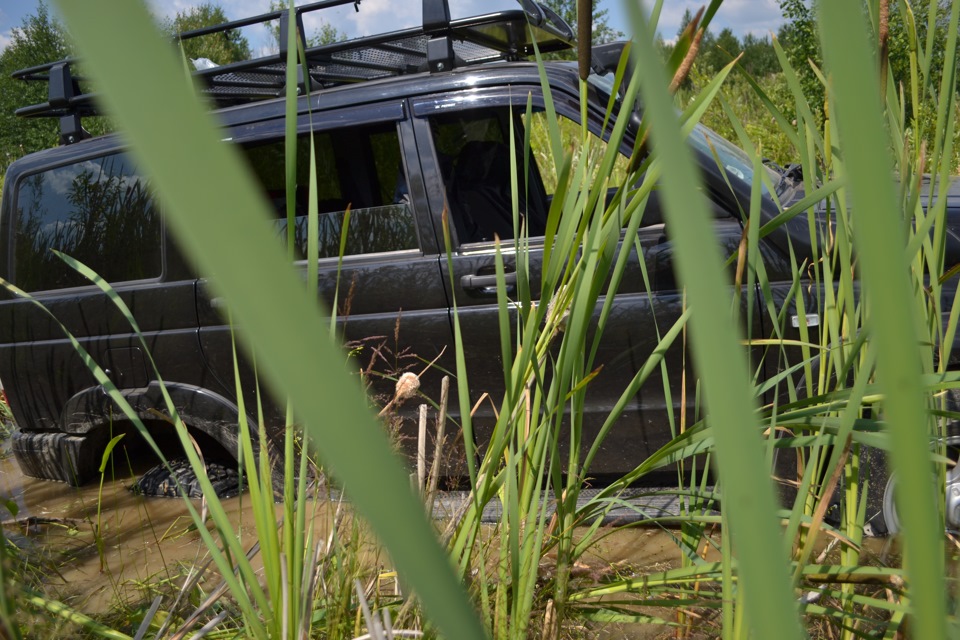 Да да это камыш! Там еще и лягушки скакали вокруг. — УАЗ Patriot