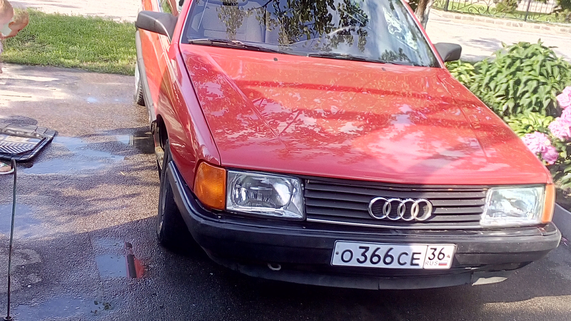 Audi 100 (C3) 1.8 бензиновый 1989 | красная и классная на DRIVE2