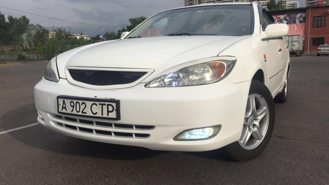 Toyota Camry (XV30) 2.4 бензиновый 2003 | Арабский белый скакун на DRIVE2